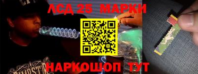 гидра Будённовск