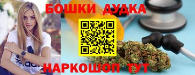 гидра Будённовск
