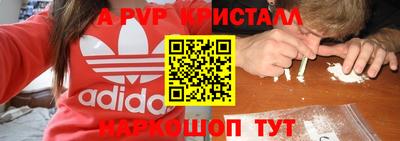 гидра Будённовск