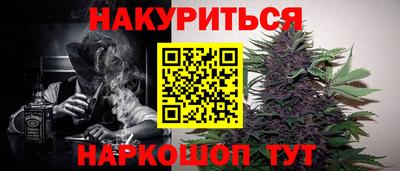 гидра Будённовск