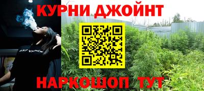 гидра Будённовск